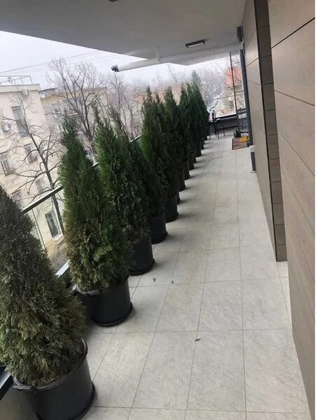 2022 Floreasca, Primaverii, 3 camere 108mp, Centrala, AC