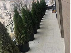 2022 Floreasca, Primaverii, 3 camere 108mp, Centrala, AC